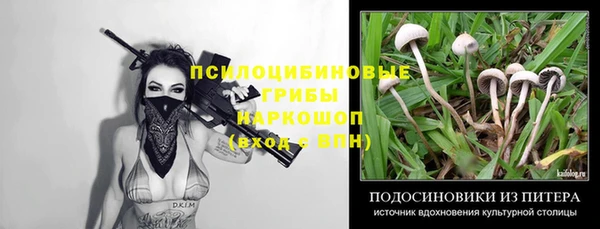 шишки Лабытнанги