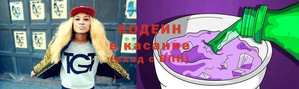 хмурый Лагань