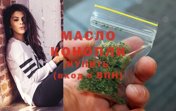 шишки Лабытнанги