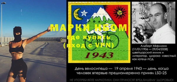 шишки Лабытнанги