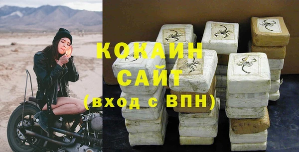 шишки Лабытнанги