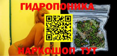 ECSTASY Донской