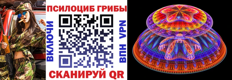Псилоцибиновые грибы мухоморы  где купить   мега как зайти  Мегион 