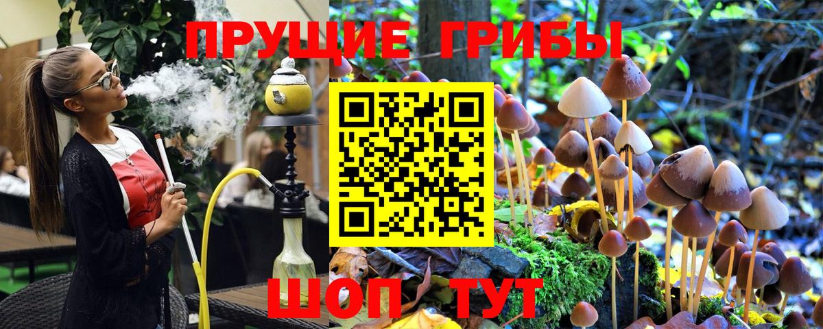 магазин    Вход с VPN  Мегион  Псилоцибиновые грибы Psilocybine cubensis 