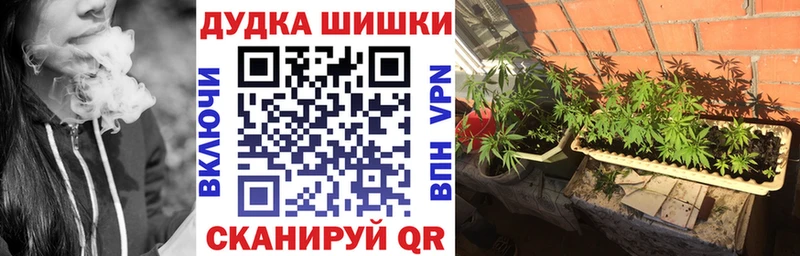 закладки  Мегион  Каннабис ГИДРОПОН 